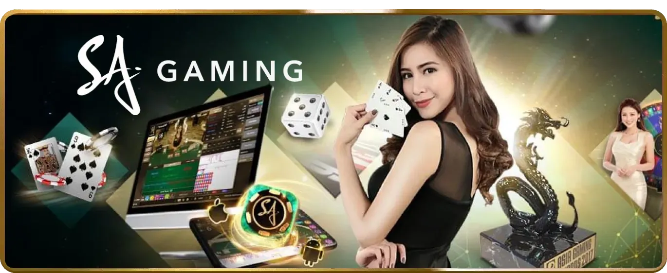 Biểu đồ minh họa các loại cookie được SV3888 Win sử dụng